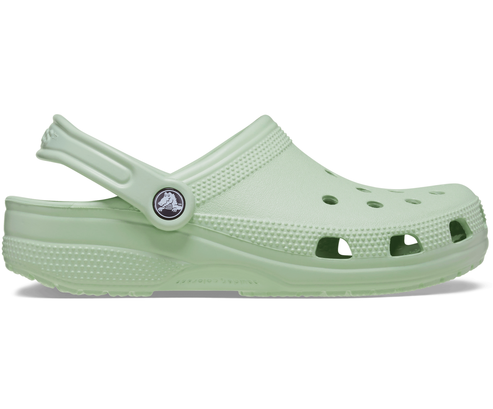 Mint Green Light Green Crocs Crocs Womens Plaster Green Clog