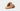 UGG Γυναικείες Παντόφλες Scuffette II Speckles - Κάστανο