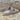 Plakton Damen Wanda Sandale – Sand