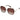 Ted Baker Kira Sunglasses | Classic Tortoiseshell