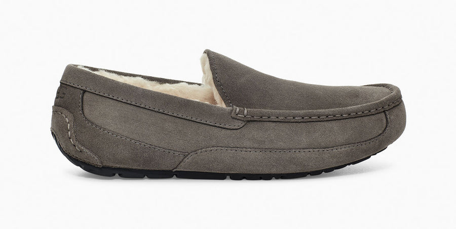 UGG Mens Ascot Slipper - Grey