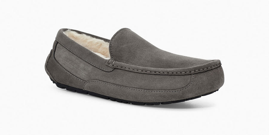 UGG Mens Ascot Slipper - Grey