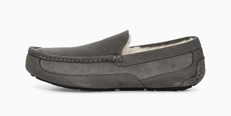 UGG Mens Ascot Slipper - Grey