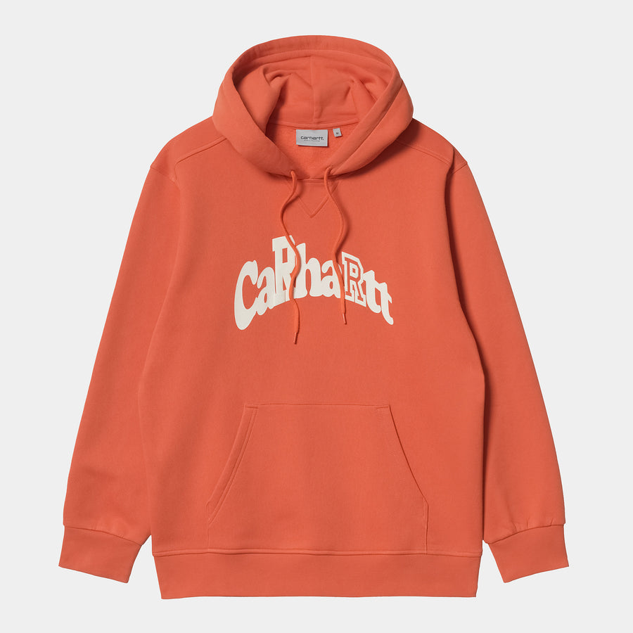 Carhartt mens deals hoodie