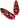 Irregular Choice Frauen Pokemon Every Day is An Adventure Slip-On-Trainer – Orange/Rot