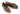TOMS Womens Alpargata Mallow Espadrille - Beige - The Foot Factory