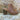 Carmela Sieviešu ādas augstpapēžu kurpes — kamielis — The Foot Factory