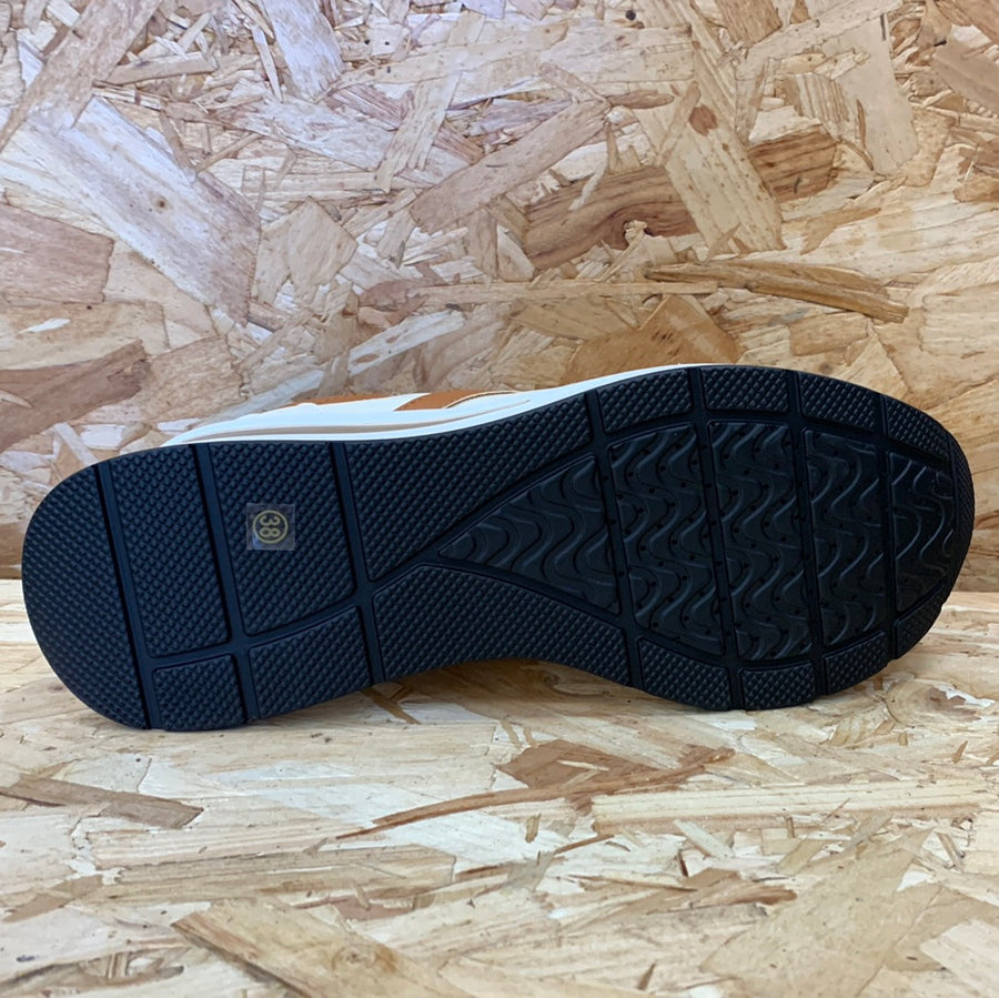 Kate Appleby Womens Ellon Trainer - Drift - The Foot Factory