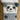 Bramble Naisten Panda Lounge Sock - harmaa