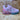 Lelli Kelly Kids Clara Luci Light Up Trainer - רוז ורוד